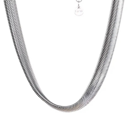 Snake Silver Set